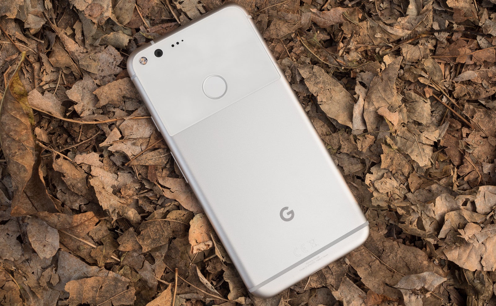 Google releases May security patch for Nexus and Pixel devices