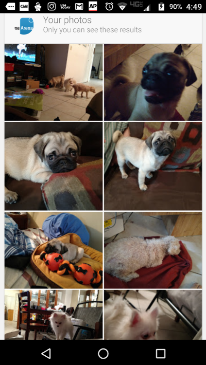 Personal photos from Google Photos appear using the new Personal tab on Google Search - Google Search adds new tab to personalize search results