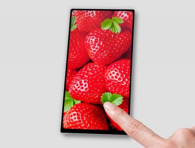 JDI introduces its new 6-inch QHD screen - Japan Display announces new 6-inch display with 18:9 aspect ratio