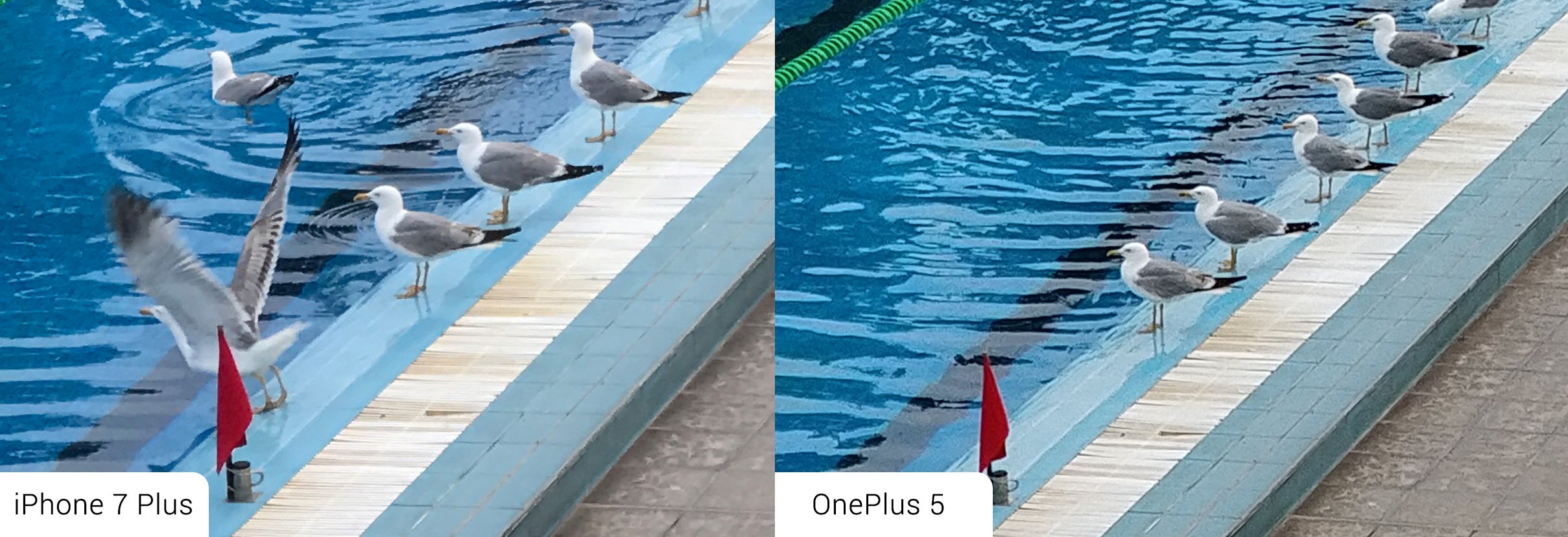 100% crops of photos taken @ 2x zoom - OnePlus 5 vs iPhone 7 Plus: Battle of the telephoto lenses