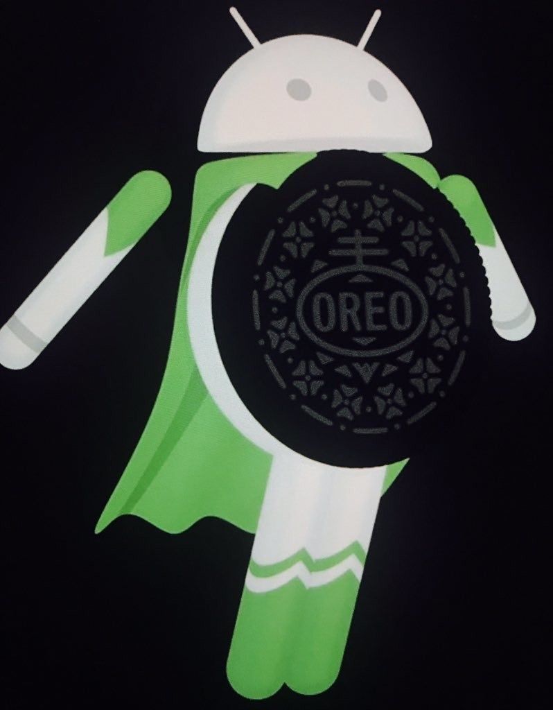 Leaked image shows the name (and mascot?) of the next Android OS version