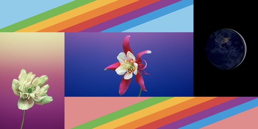 Download all of Apple's new iOS 11 wallpapers right here, right now