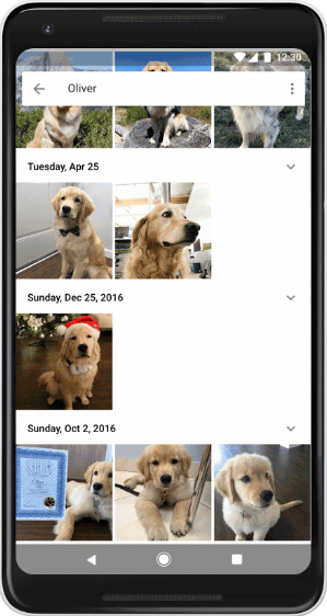 Google Photo now recognizes your pets by name - Google Photos will now recognize Luna, Fuzzy and your other pets
