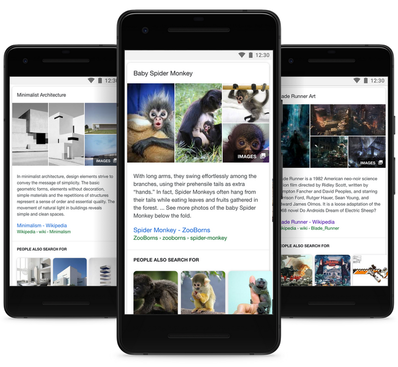 Featured Snippets now provide more images and related searches related to your query - Google improves on three features making it faster and easier to get answers to your search query