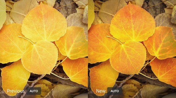 Adobe Lightroom gets new features to offer better picture editing on your phone