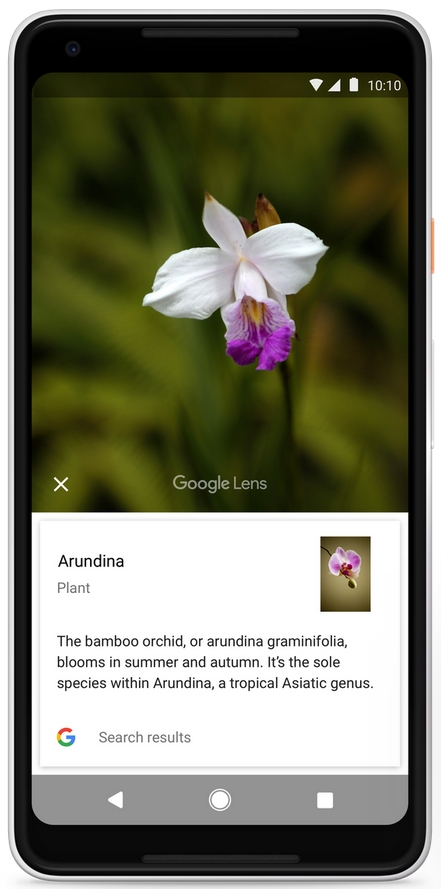 With Google Lens, whatever you take a picture of becomes the subject of an internet search - Google Lens is coming to other Android flagships and the Apple iPhone