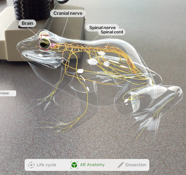 Froggipedia - Apple updates the iWork suite, reveals new AR apps to aid learning