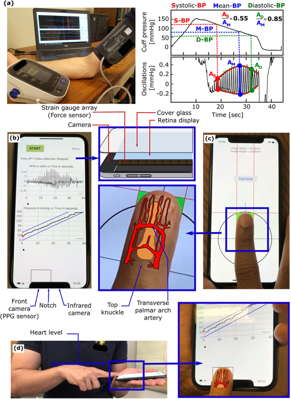 Researchers build blood pressure measuring app for iPhone, no need for the Galaxy S9&#039;s fancy sensor