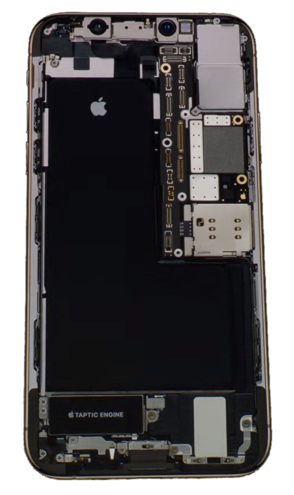 Apple iPhone XR is now official: LCD screen, Face ID, plenty of colors