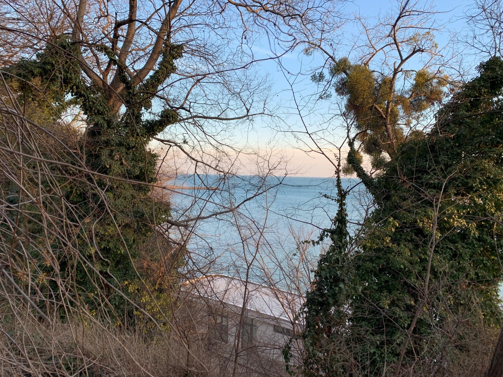 Apple iPhone XS - Xiaomi Mi Mix 3 vs Apple iPhone XS: camera comparison