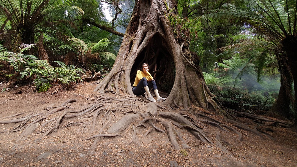 Photo taken with Samsung Galaxy S10 Ultra Wide lens - Samsung reveals the secret to taking "incredible" photos with a Galaxy S10 phone