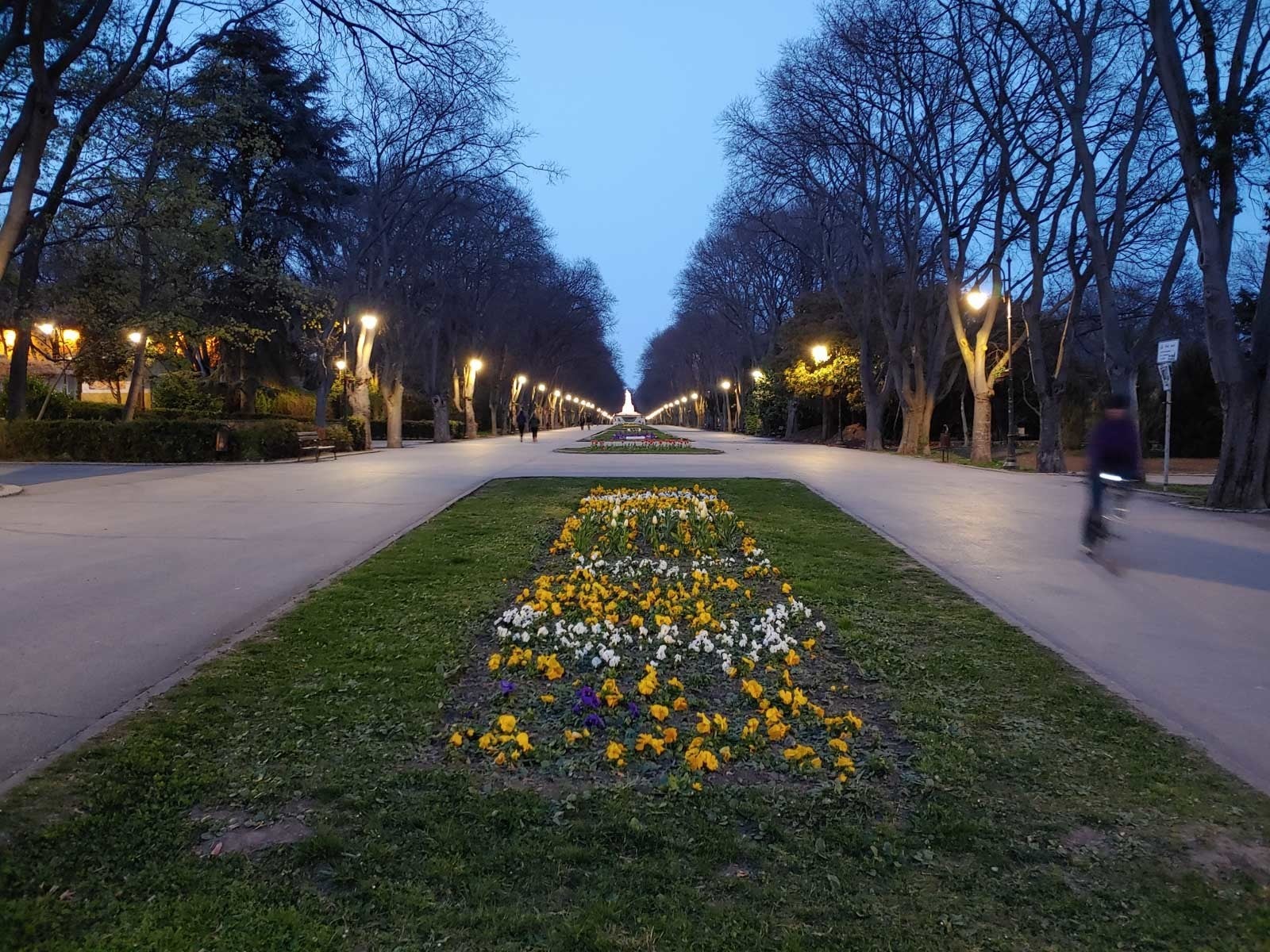 Night View and symmetry - The LG G8 ThinQ camera flaunts extra tricks for the next-level social photog