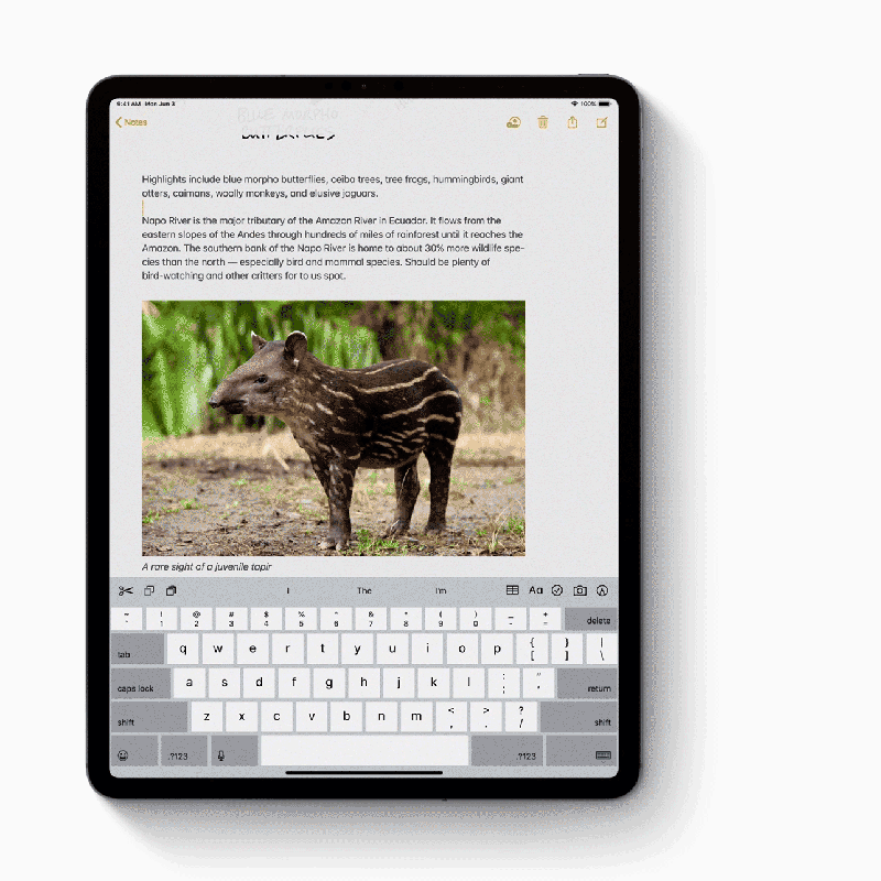 iPadOS: the iPad is a big boy now, so it gets its own operating system!