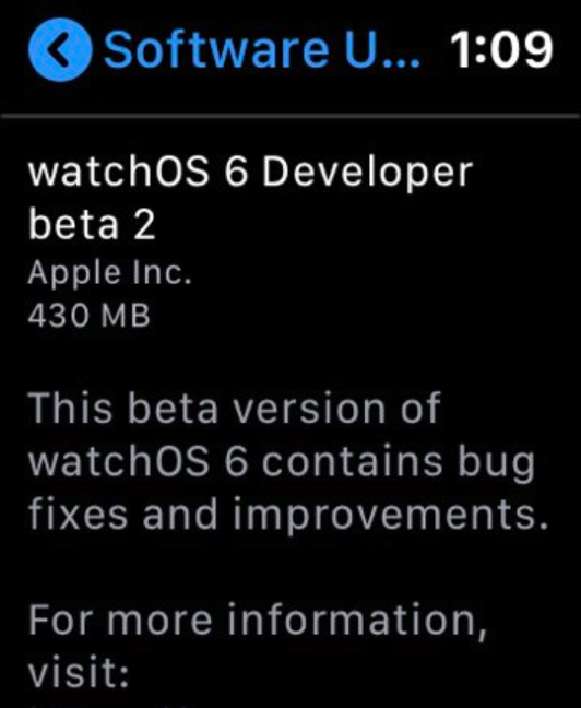 With watchOS 6, the Apple Watch can load OTA updates from its Settings menu - Apple Watch cuts more ties with the iPhone in latest watchOS 6 beta