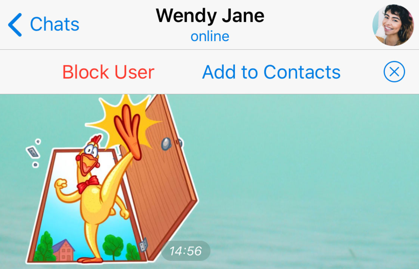 Version 5.8 of Telegram allows users to quickly add someone to their contacts - Telegram update adds location-based chats and much more