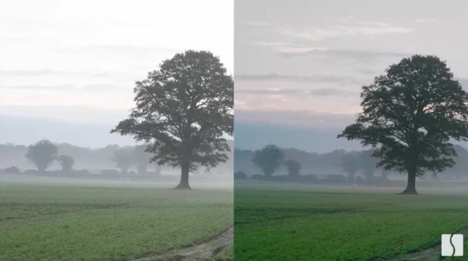 The picture on the right shows how Spectral Edge's technology enhances the color of a photo taken with a smartphone. The photo first appeared in a 2016 Tech Crunch story - What Apple did last month could lead to better images from the 2020 iPhone cameras