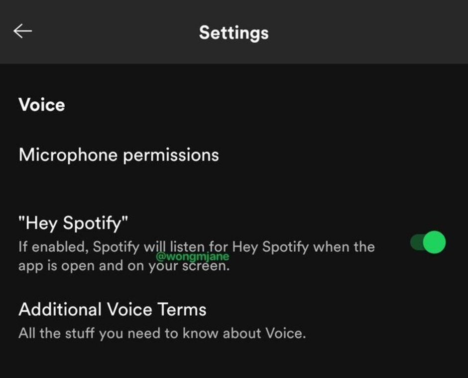 Spotify is testing a voice-activated interface - Spotify is testing a native voice activation feature