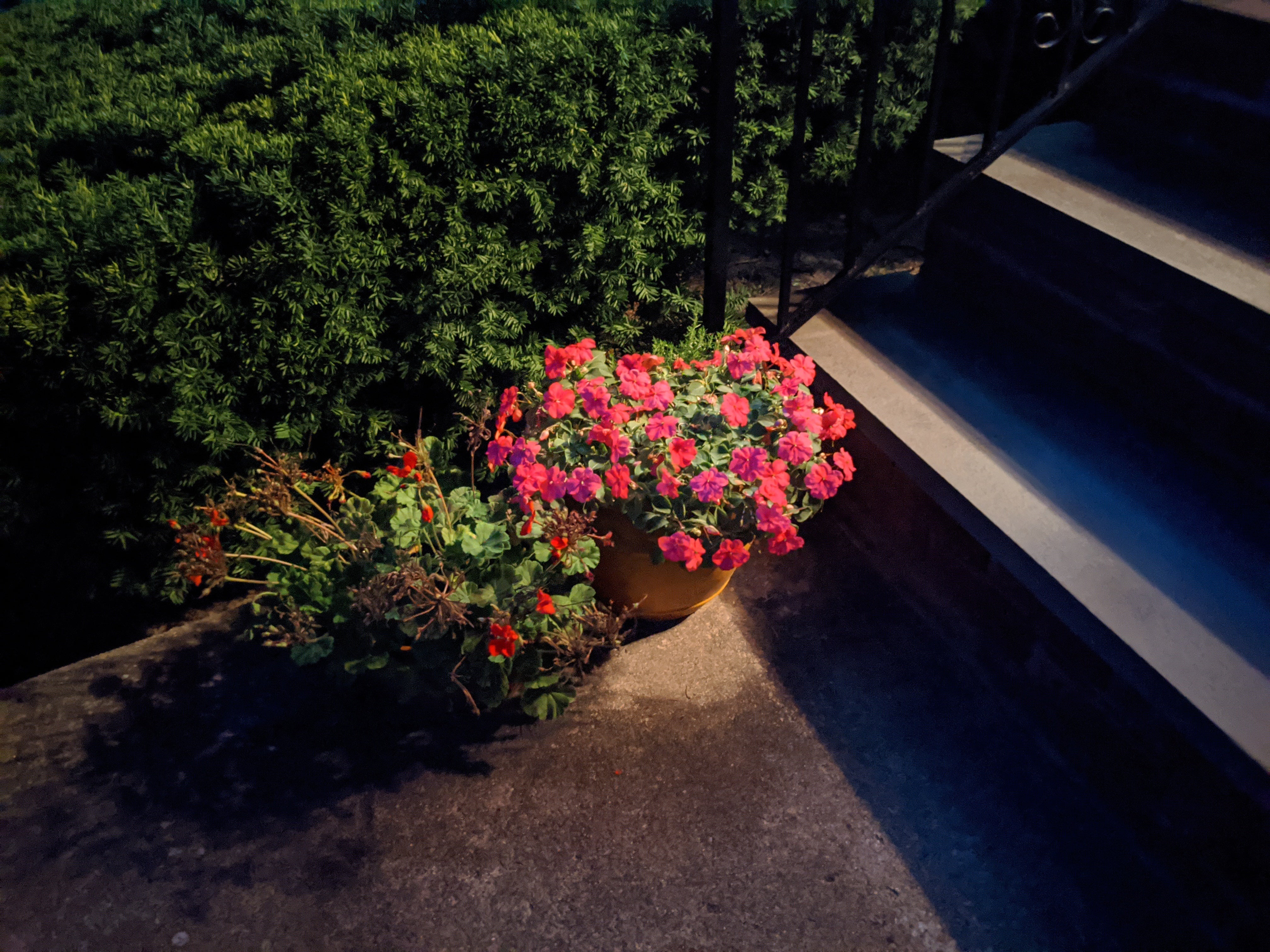 Pixel 4a Nightsight mode - Pixel 4a vs Moto G Stylus