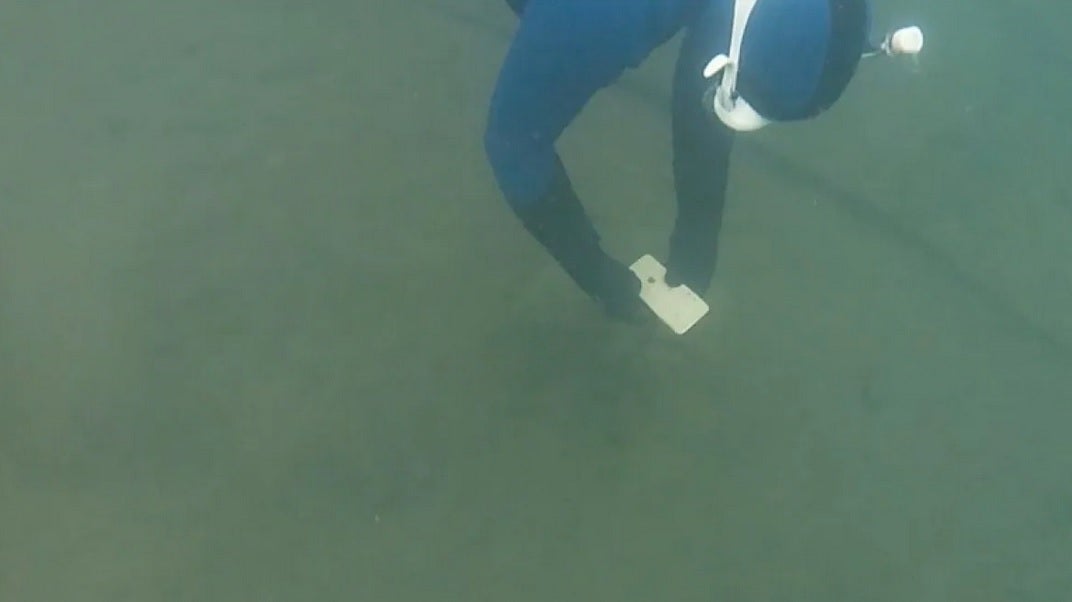 Heather Helkenberg discovers Fatemah Ghodsi's Appple iPhone 11 at the bottom of a lake where it was lying for six months - Apple iPhone 11 still turns on after sitting at the bottom of a lake for six months (VIDEO)