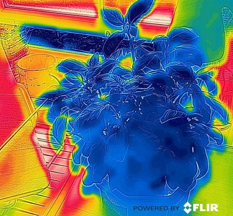 An example of a thermal photograph taken using the FLIR camera on the Cat S62 Pro - Rugged Cat S62 Pro handset hits the U.S. with price cut, thermal camera and large battery