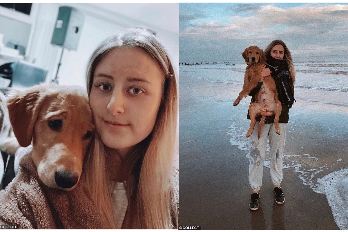 AirPods removed from dog's stomach, survive (the dog too)