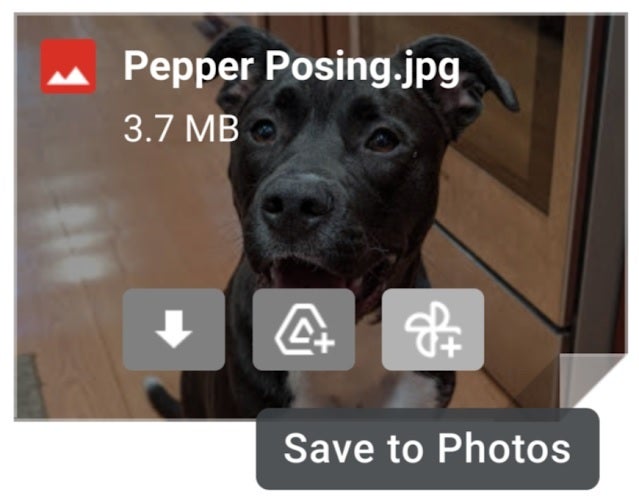 New Save to Photos button will make it faster to back up a Gmail photo attachment - Google adds a button that makes it faster to backup Gmail photo attachments
