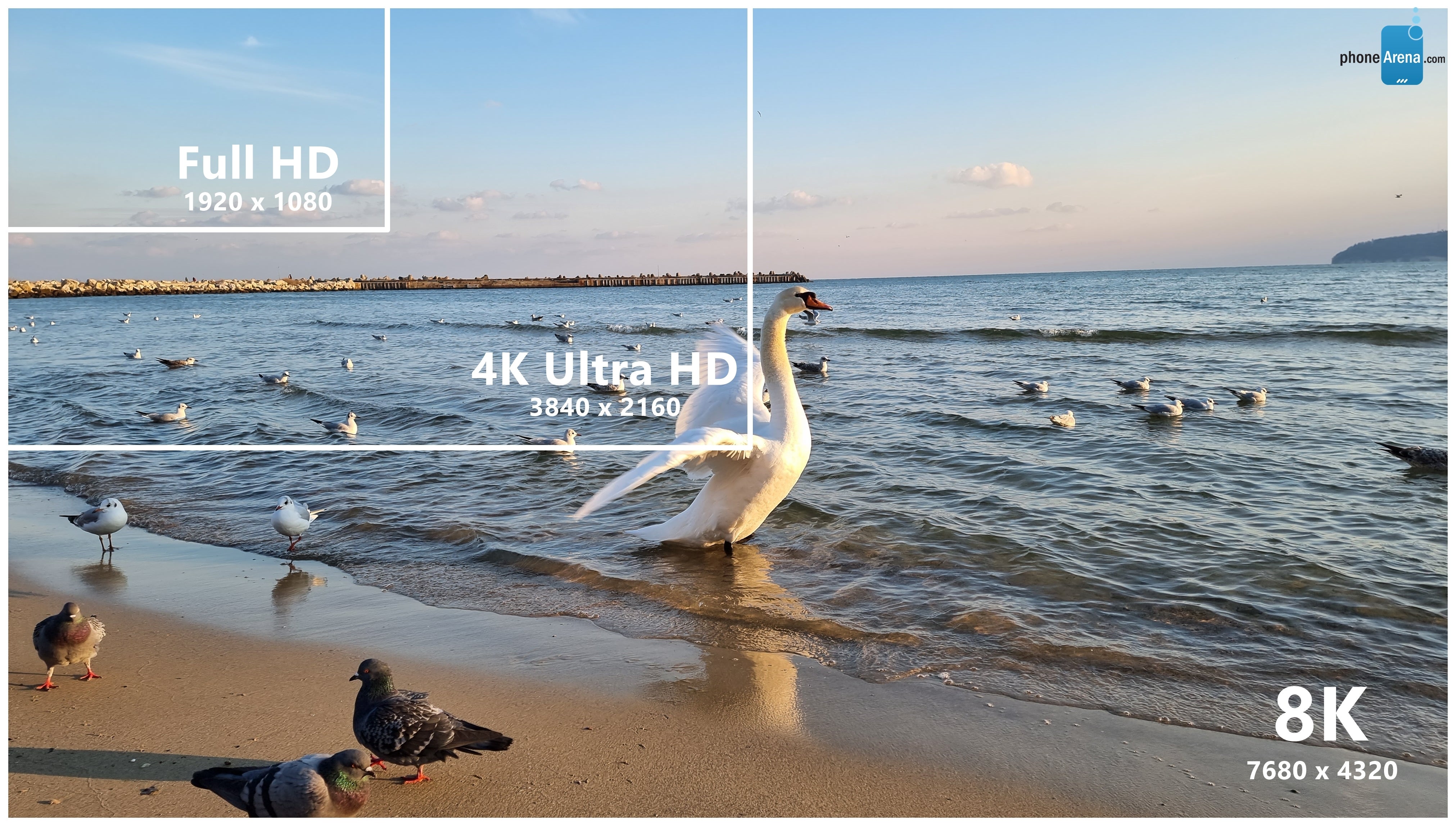 8K vs 4K vs 1080p video: what’s the difference and which resolution ...