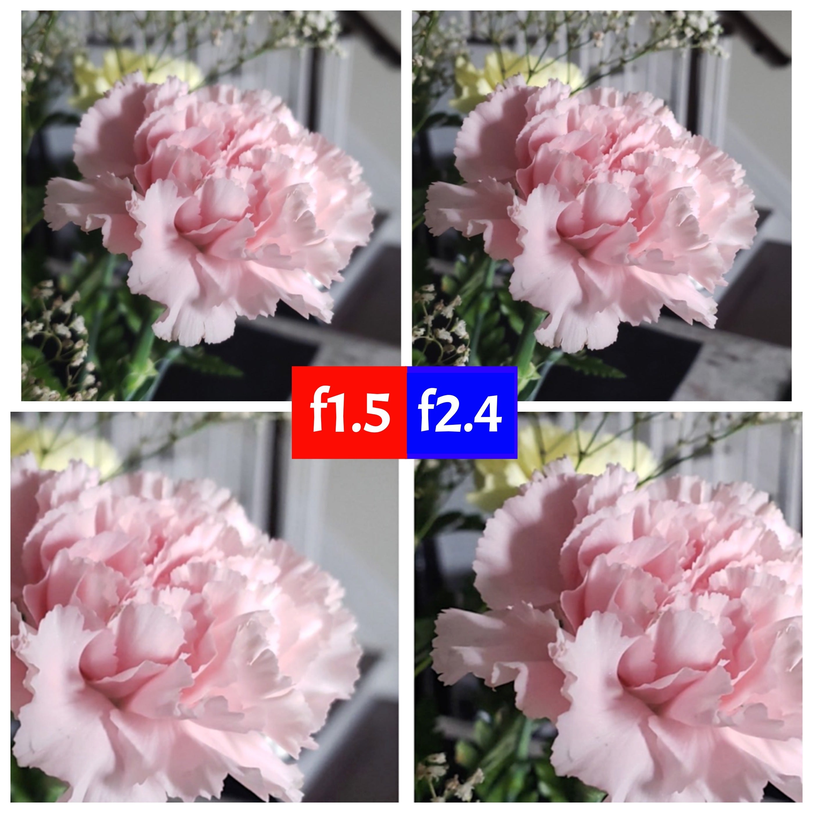 f2.4 versus f1.5 - notice how on the left the edges of the flower are out of focus and fuzzy, while on the right we get better subject focus. Photo by Marques Brownlee. - The negative effect of large camera sensors on new smartphones: The solution might be in the Galaxy... S9