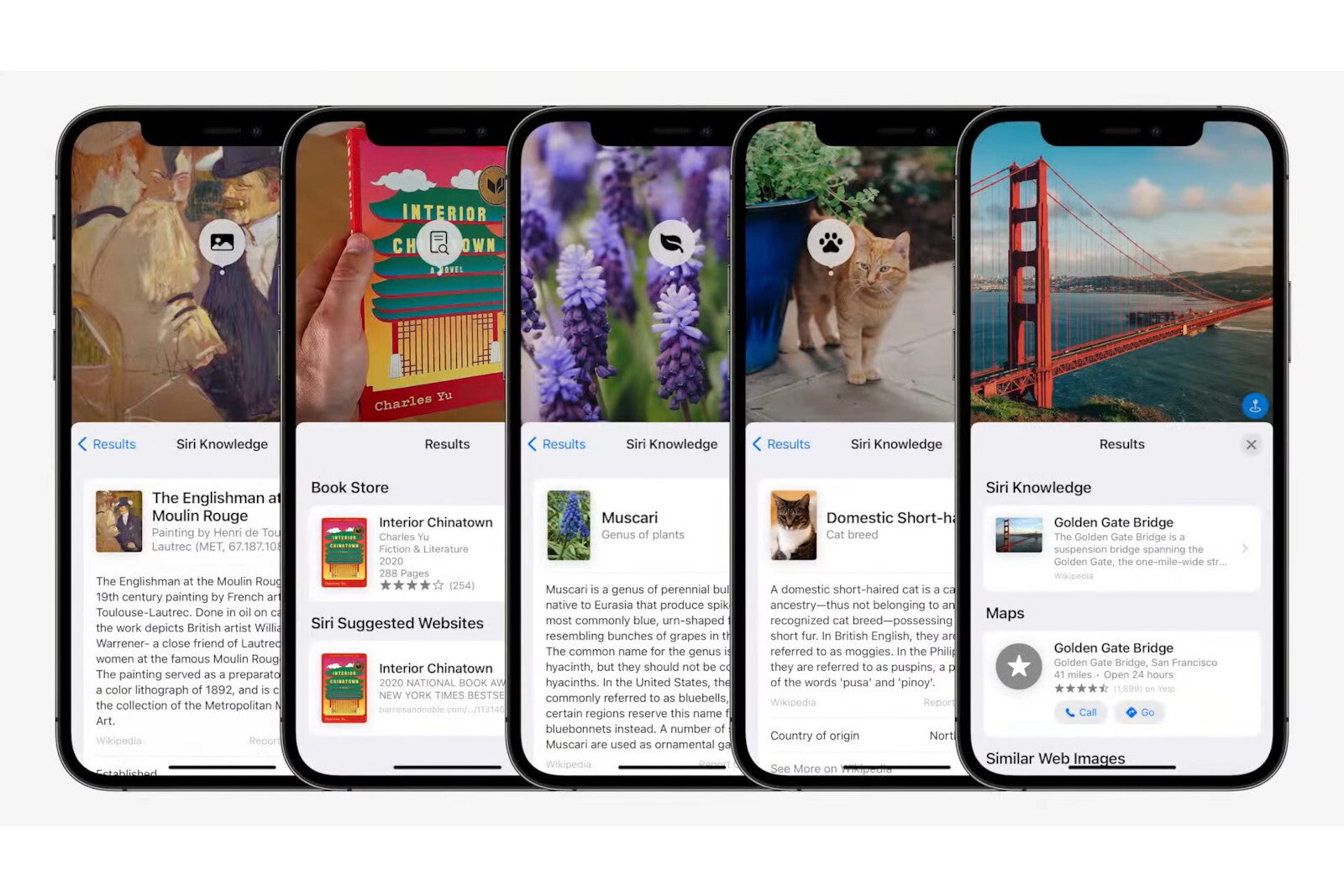 iOS 15: Apple introduces Live Text, which can locate text inside your photos