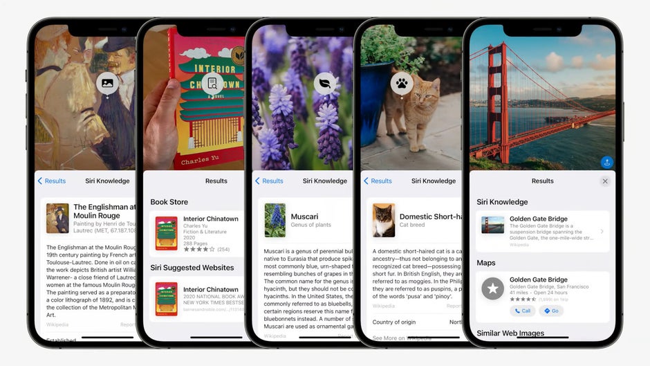 Apple's Visual Look Up is modeled after Google Lens