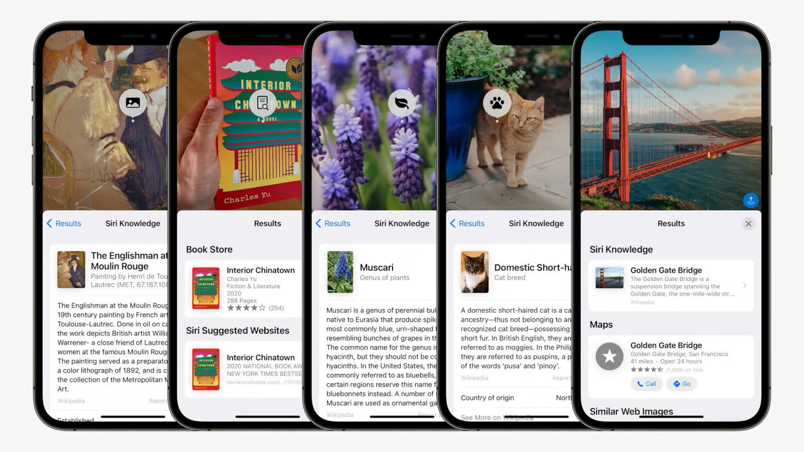 Apple&#039;s Visual Look Up is modeled after Google Lens