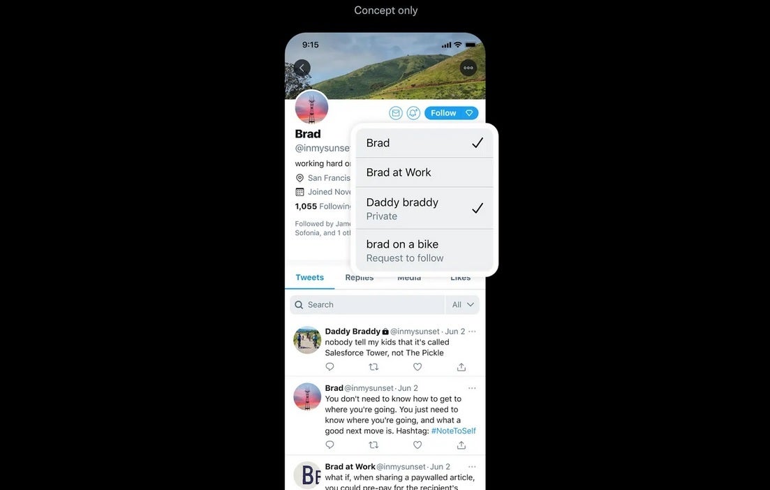The Facets concept would allow users to select the topics that they want to read about on tweets sent from certain accounts - Twitter shows off a trio of design concepts that might be added to the app some day