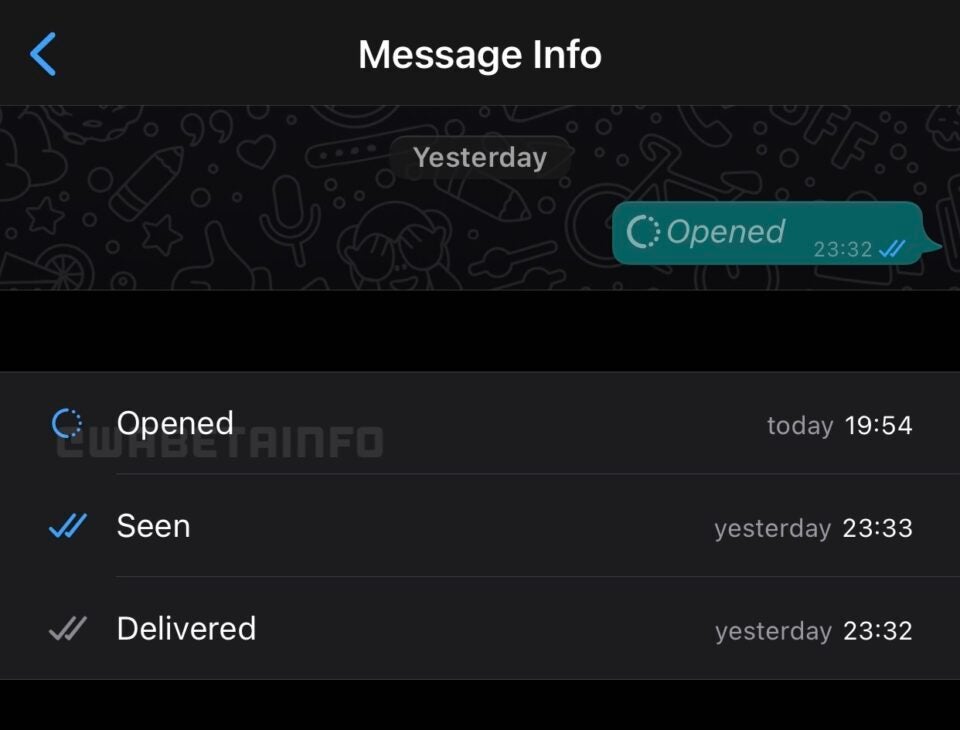 When the recipient opens a disappearing message, the sender is informed - Mission Possible: iOS beta of WhatsApp now offers disappearing messages