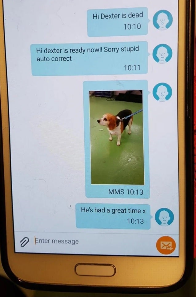 Autocorrect does it again, scaring dog owner into thinking that her dog had died - Dog owner shocked after autocorrect blunder said that the pet had died