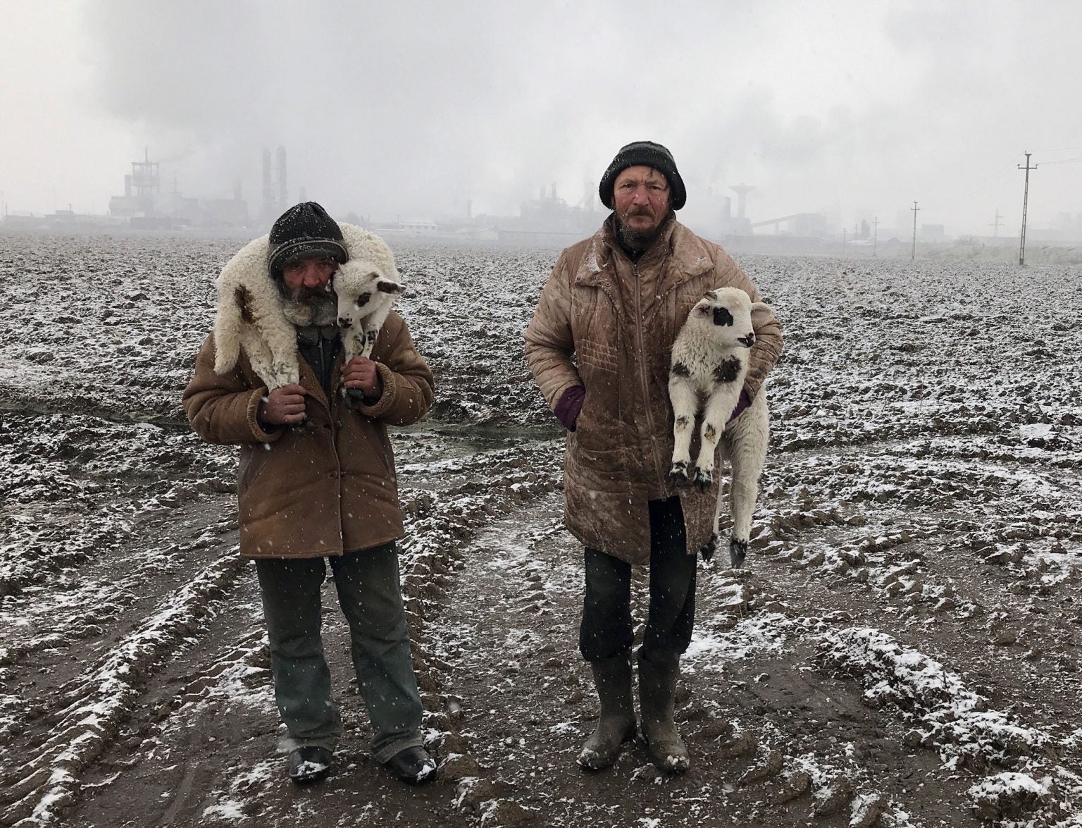 Transylvanian Shepherds, Shot on iPhone 7 by Targu Mures, Transylvania, Romania - And the 2021 iPhone Photography Awards go to... the iPhone 7