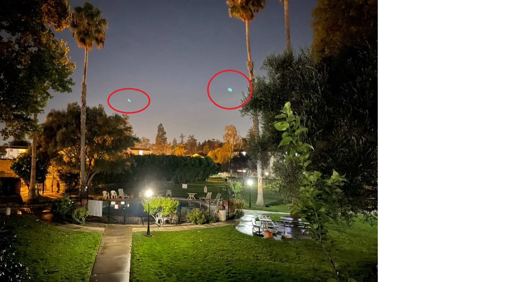 Green dots appear in this photograph snapped by an iPhone 12 Pro Max - Apple has a plan to rid photos of those ugly green flares with iOS 15