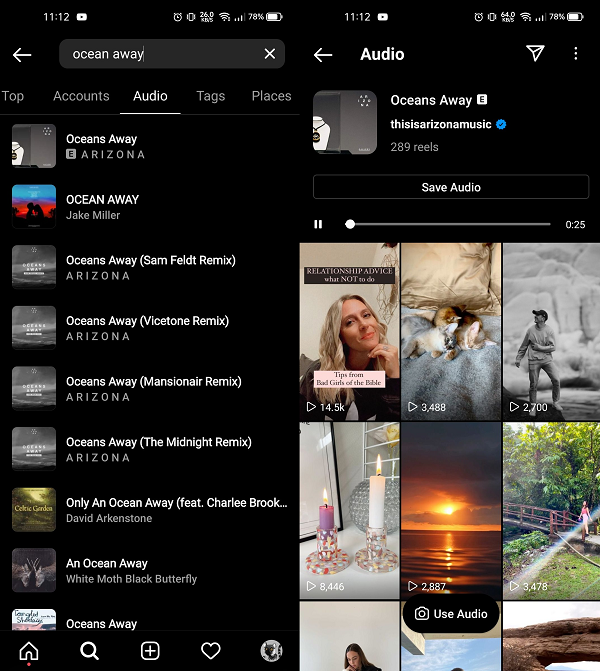Image source - @WFBrother - Instagram adds “Audio” to its search options