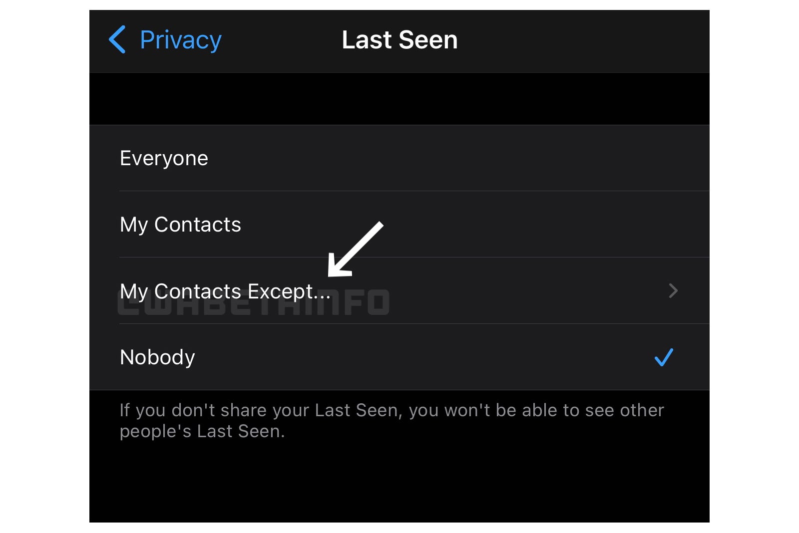 WhatsApp adds new &quot;Last Seen&quot; removal option