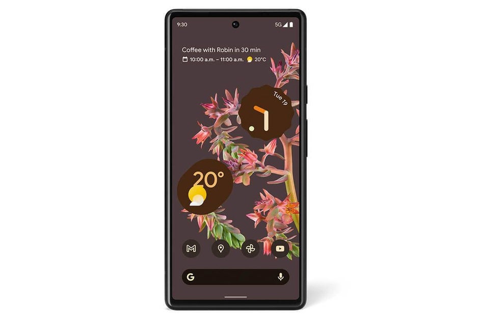 Pixel 6 in Stormy Black - Leaked images show the differences between the two Pixel 6 models