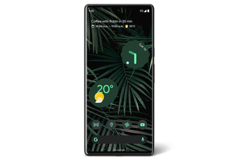 Pixel 6 Pro in Stormy Black - Leaked images show the differences between the two Pixel 6 models