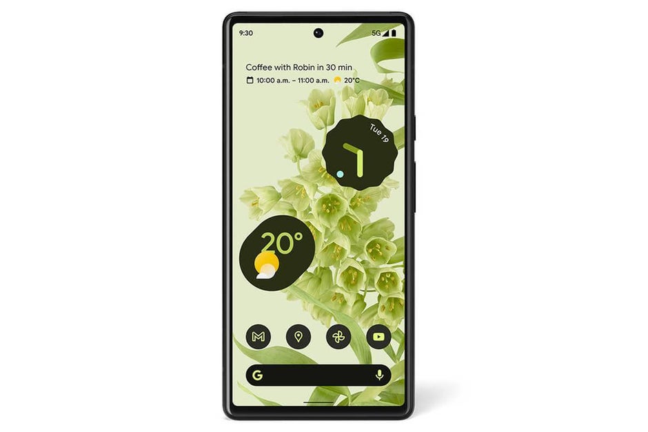 Sorta Seaform Pixel 6 vs Cloudy White Pixel 6 Pro - Leaked images show the differences between the two Pixel 6 models