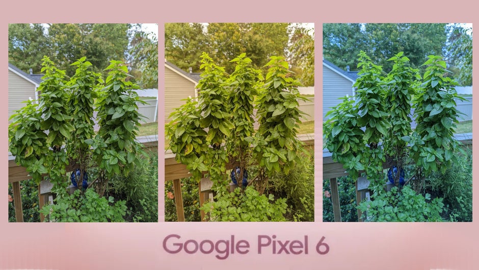 Google Pixel 6 gets a camera temperature slider