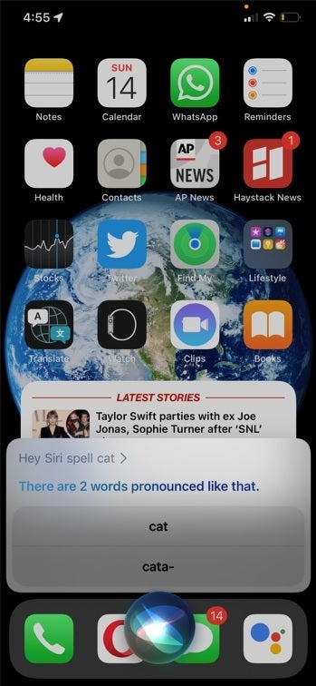 Bug leaves Siri unable to spell Dog, Cat, and other words