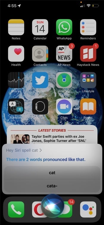 When Siri was asked to spell Cat, this is what came back - Bug leaves Siri unable to spell Dog, Cat, and other words