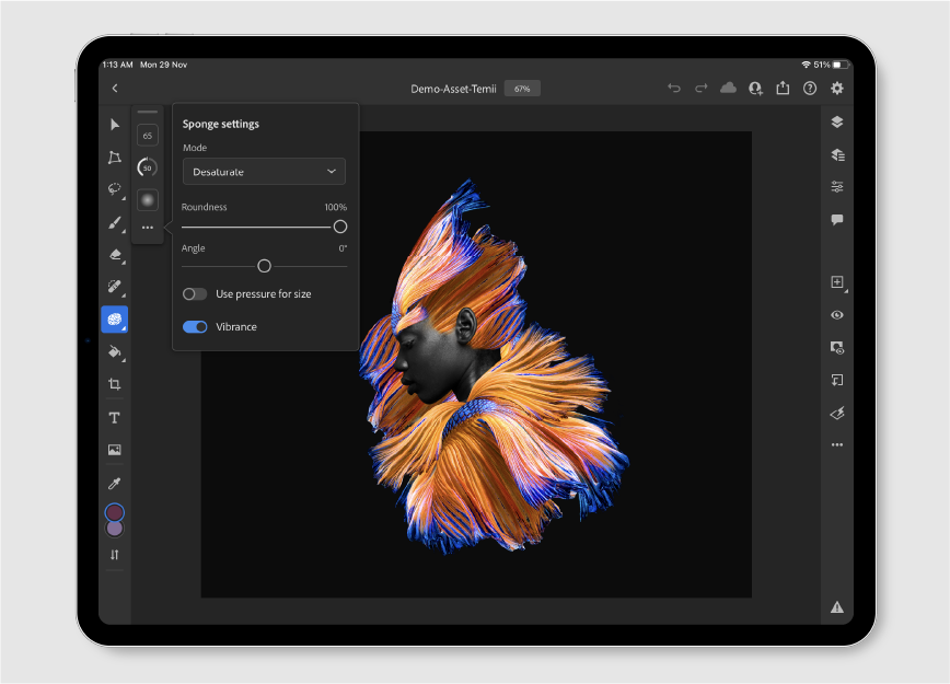 Major Adobe update brings two desktop tools to Photoshop on iPad