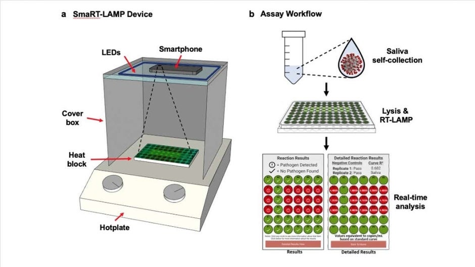 Researchers create a budget-friendly COVID test that uses a smartphone