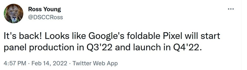 DSCC's Ross Young says to expect a foldable Pixel to be released during the fourth quarter - Foldable Pixel expected to be released in Q4 says DSCC co-founder Ross Young