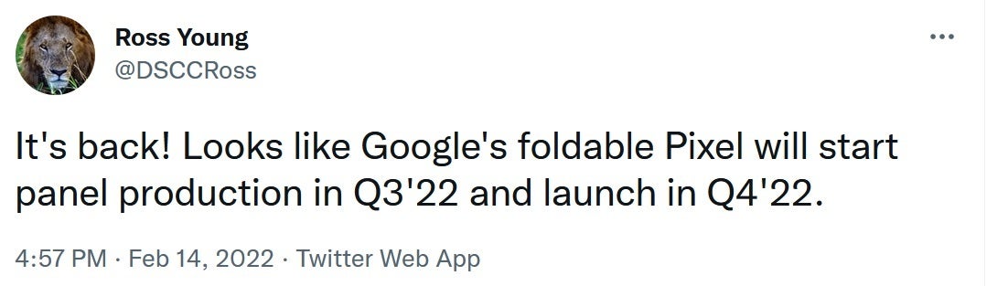 DSCC&#039;s Ross Young says to expect a foldable Pixel to be released during the fourth quarter - Foldable Pixel expected to be released in Q4 says DSCC co-founder Ross Young