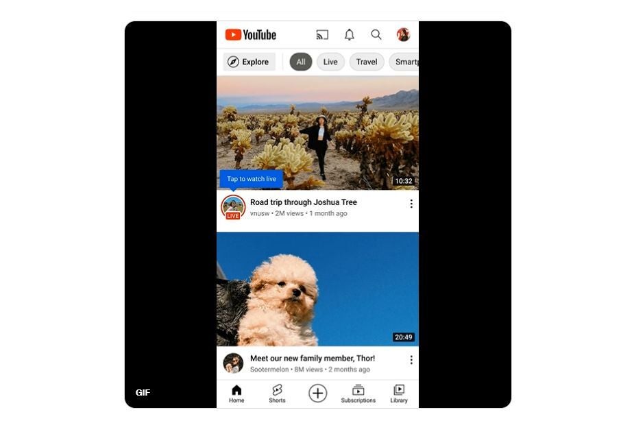 YouTube starts rolling out a new Live rings feature on mobile