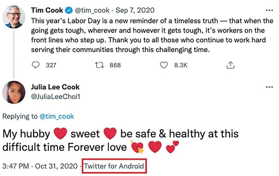 Choi professed to be in love with Tim Cook but she used an Android device - Judge signs restraining order; Tim Cook's alleged stalker must stay 200 yards away